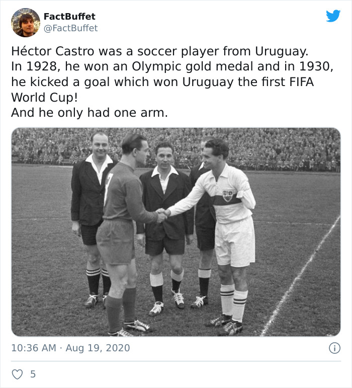 Bored Panda Gave A Huge Boost To My Twitter. That's A Fact.