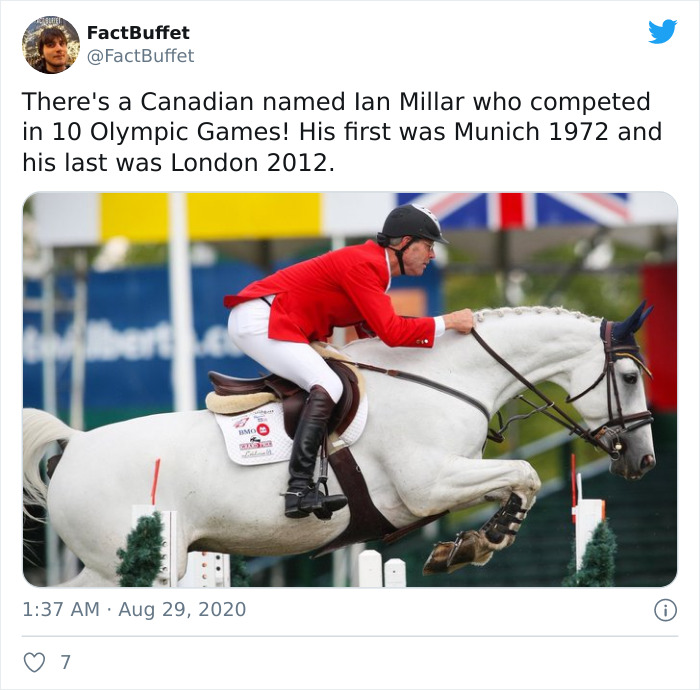 Bored Panda Gave A Huge Boost To My Twitter. That's A Fact.