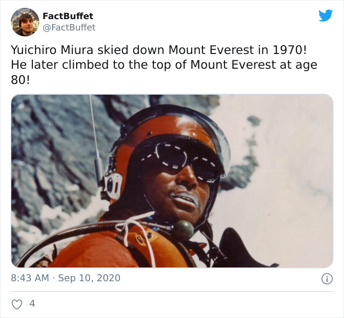 Bored Panda Gave A Huge Boost To My Twitter. That's A Fact.