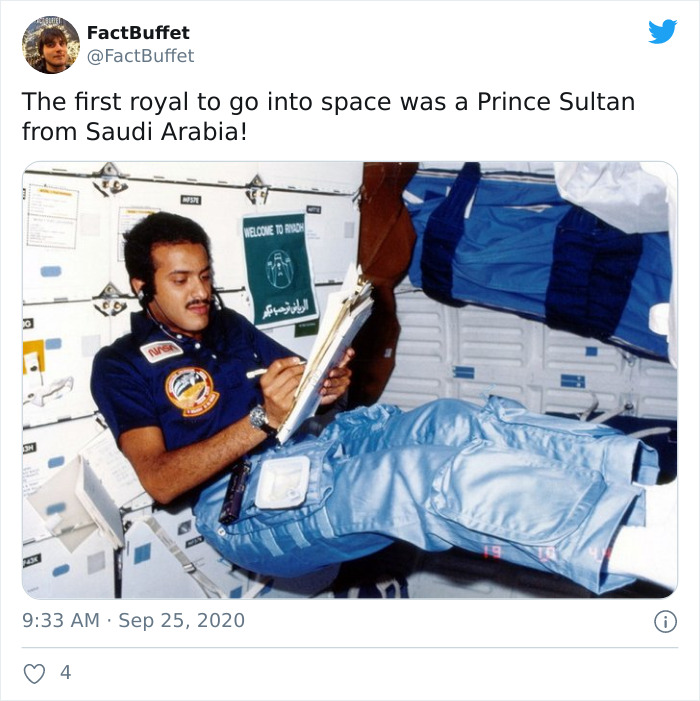 Bored Panda Gave A Huge Boost To My Twitter. That's A Fact.