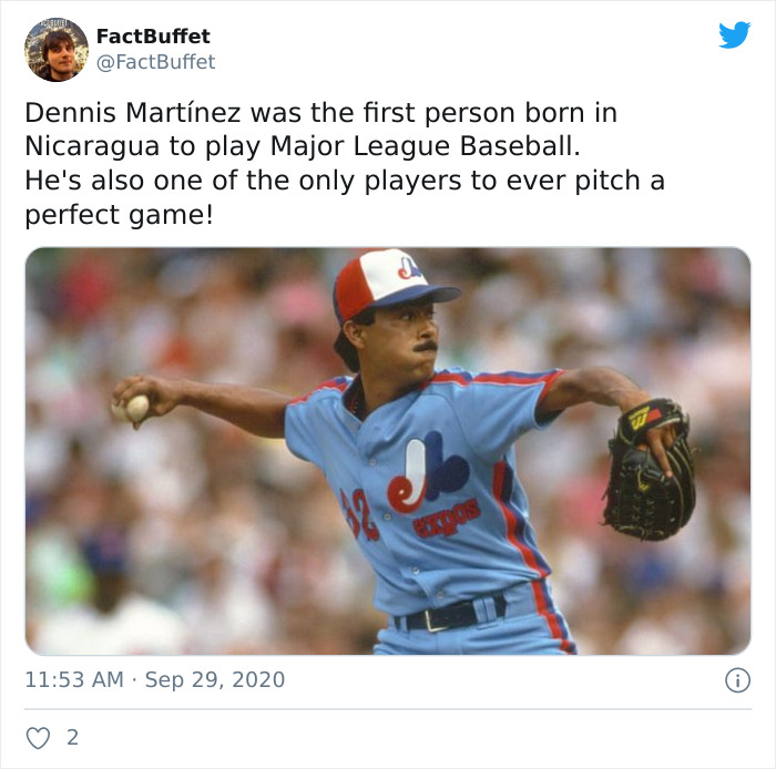 Bored Panda Gave A Huge Boost To My Twitter. That's A Fact.