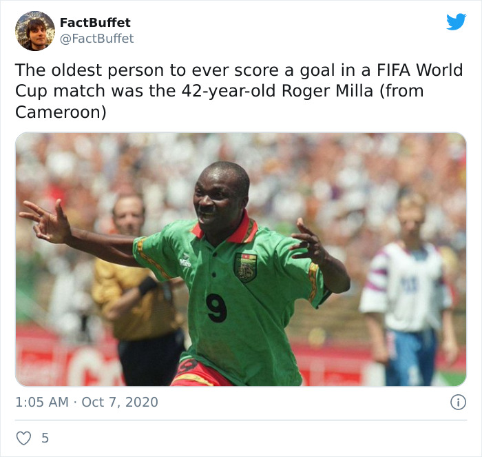 Bored Panda Gave A Huge Boost To My Twitter. That's A Fact.