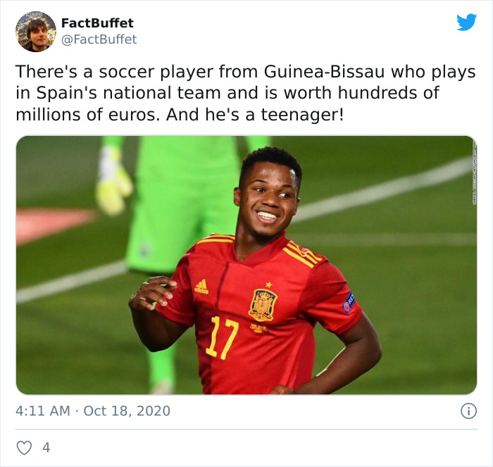 Bored Panda Gave A Huge Boost To My Twitter. That's A Fact.