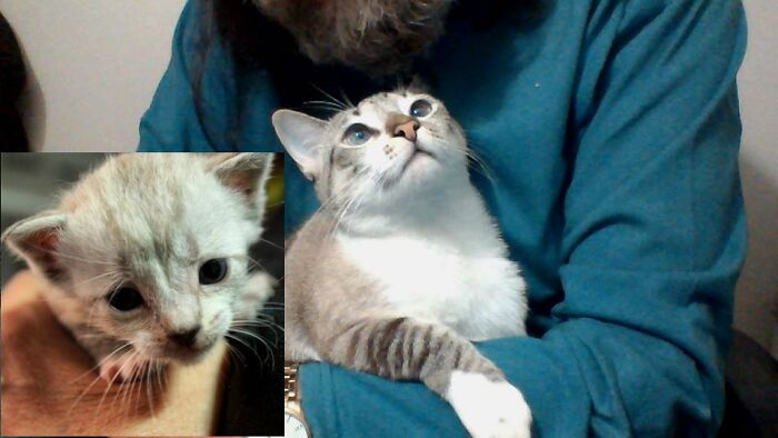 Shoxana 10 Days/7 Years