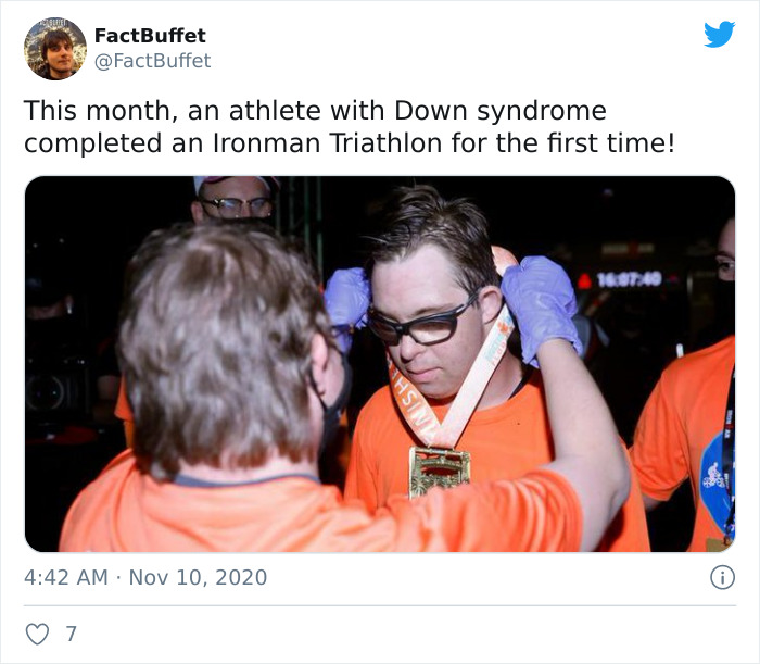 Bored Panda Gave A Huge Boost To My Twitter. That's A Fact.