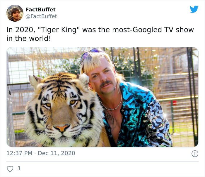 Bored Panda Gave A Huge Boost To My Twitter. That's A Fact.