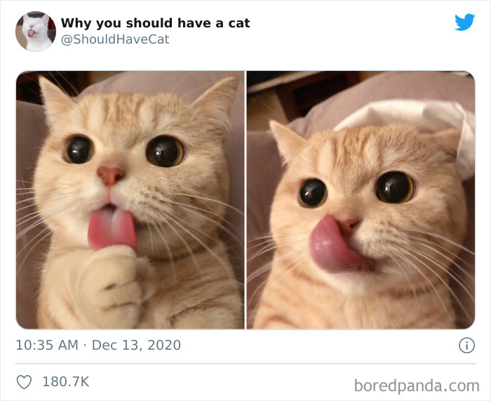 Why does call you baby girl meme. Film making process схема hollywood. Why am i gasping i already knew that. Why is hollywood called the capital of filmed entertainment reading for detail/classifying. Why is hollywood called the capital of filmed entertainment схема.