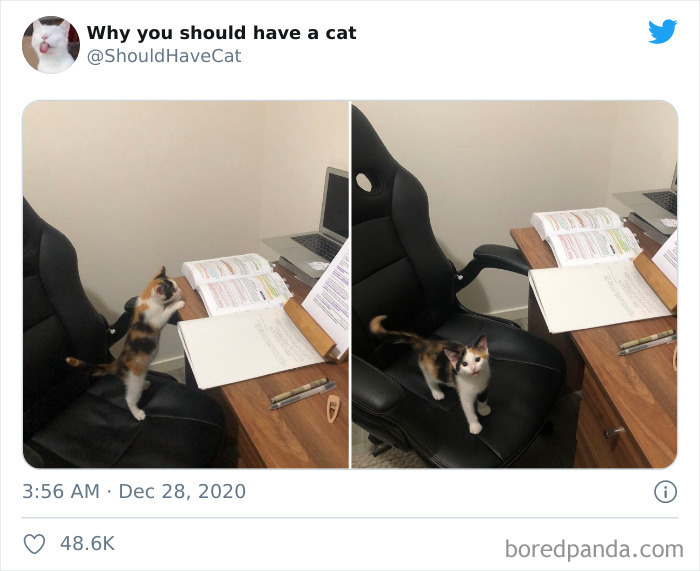 Why is why called why. Why is hollywood called the capital of filmed entertainment reading for detail/classifying. Why is why called why. Why why why why киллуа. Why is why called why.