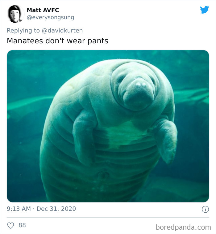 Lions-Dont-Wear-Mask-Politician-David-Kurten