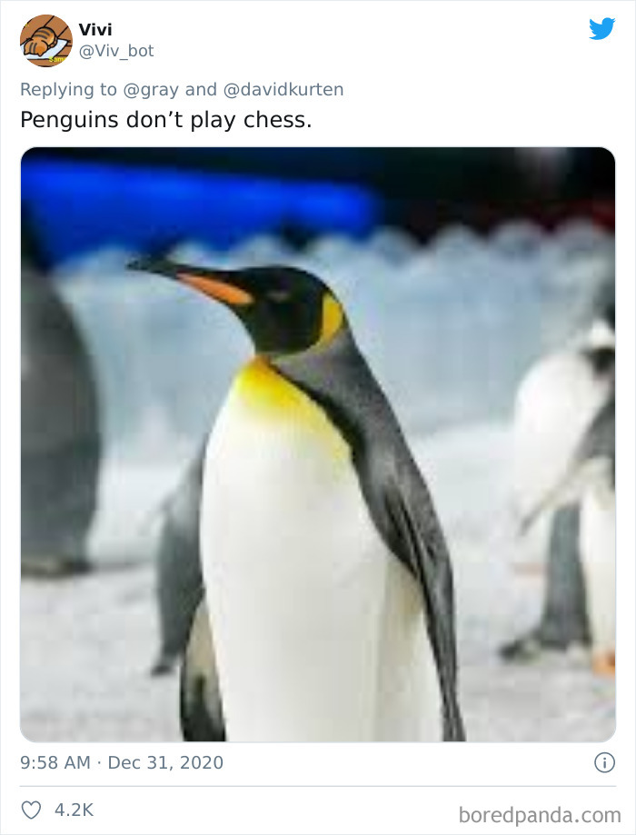 Lions-Dont-Wear-Mask-Politician-David-Kurten