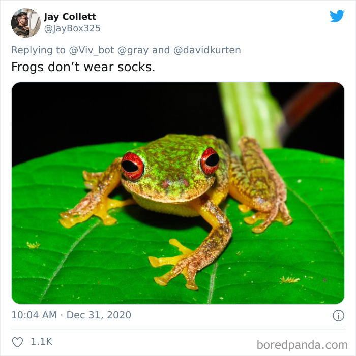 Lions-Dont-Wear-Mask-Politician-David-Kurten