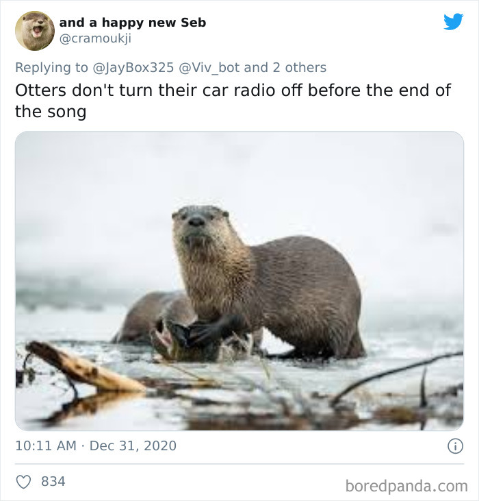 Lions-Dont-Wear-Mask-Politician-David-Kurten