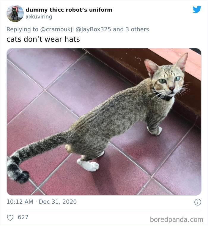 Lions-Dont-Wear-Mask-Politician-David-Kurten