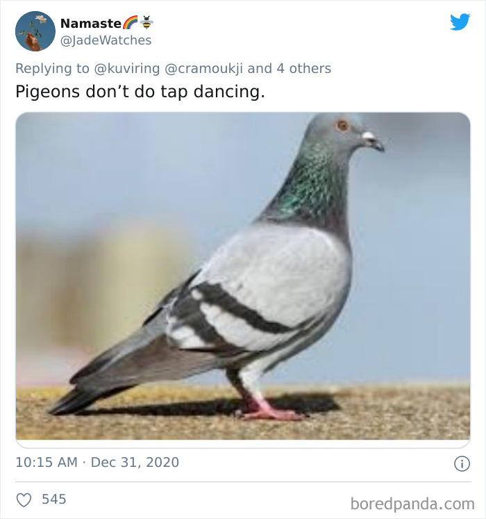 Lions-Dont-Wear-Mask-Politician-David-Kurten