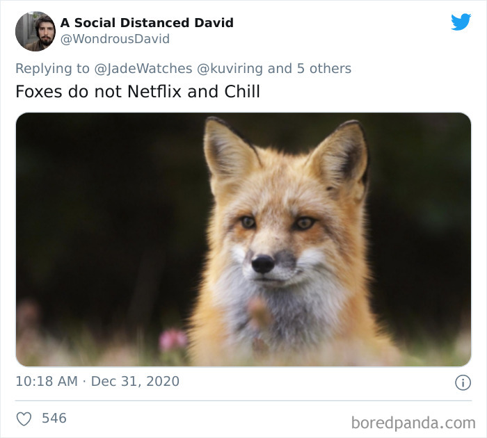 Lions-Dont-Wear-Mask-Politician-David-Kurten