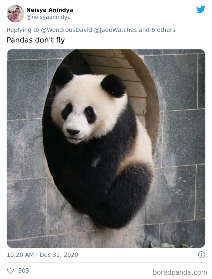 Lions-Dont-Wear-Mask-Politician-David-Kurten