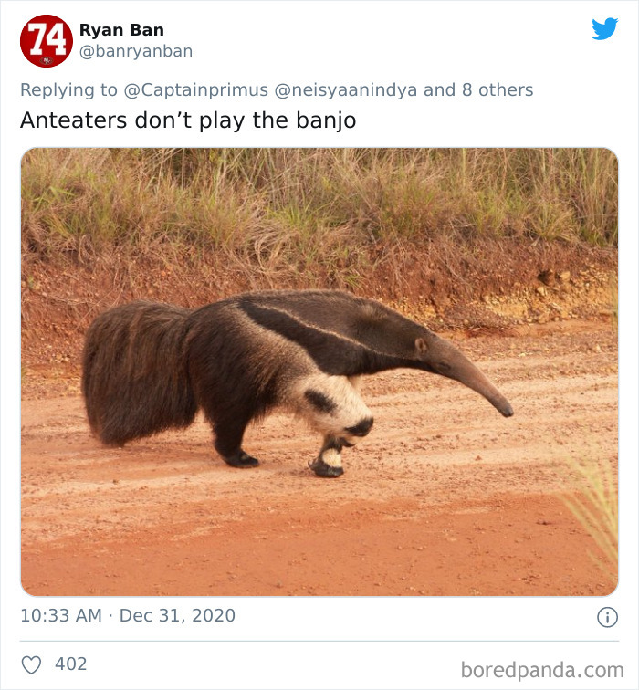 Lions-Dont-Wear-Mask-Politician-David-Kurten