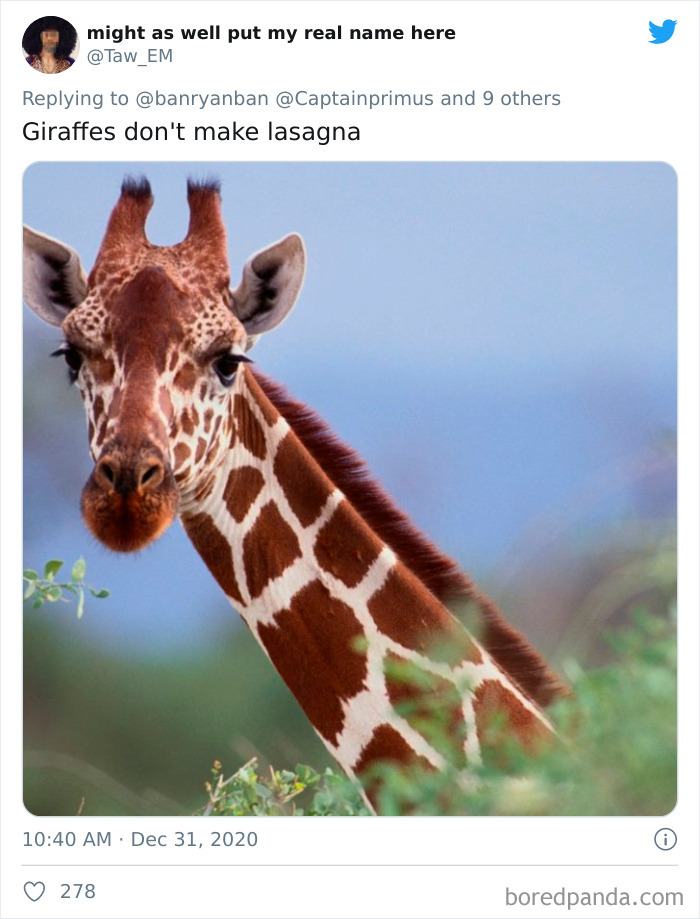 Lions-Dont-Wear-Mask-Politician-David-Kurten