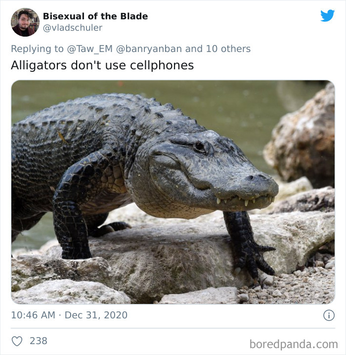 Lions-Dont-Wear-Mask-Politician-David-Kurten