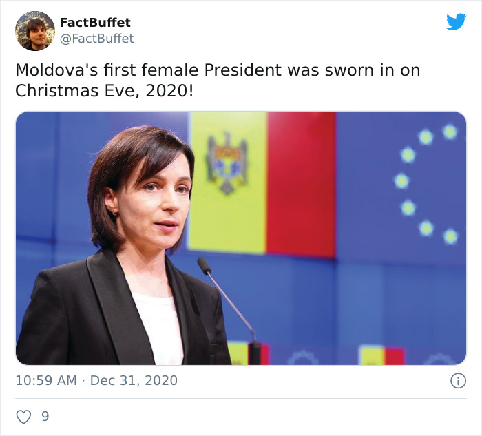 Bored Panda Gave A Huge Boost To My Twitter. That's A Fact.