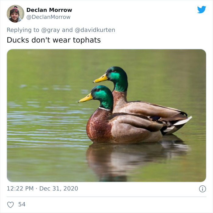 Lions-Dont-Wear-Mask-Politician-David-Kurten