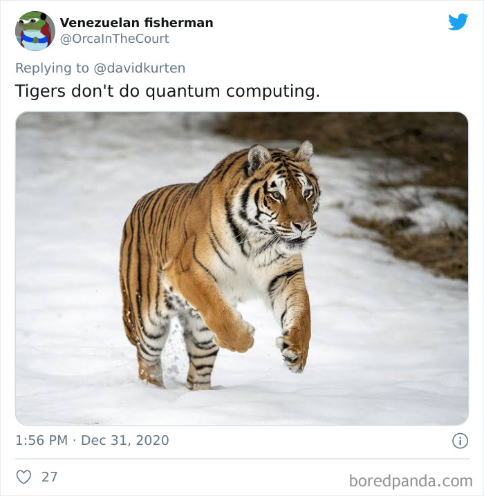 Lions-Dont-Wear-Mask-Politician-David-Kurten