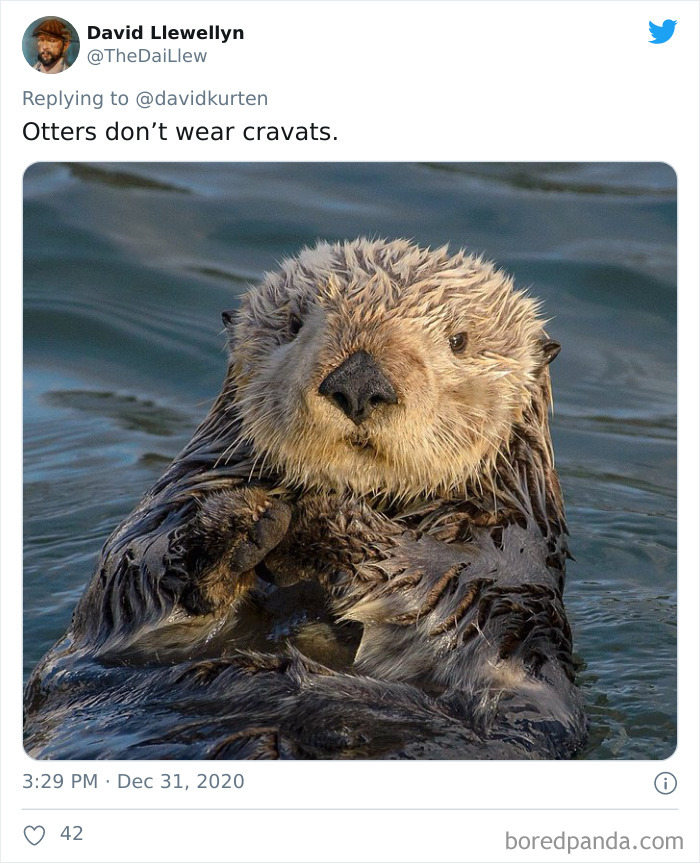 Lions-Dont-Wear-Mask-Politician-David-Kurten