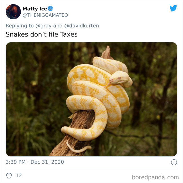 Lions-Dont-Wear-Mask-Politician-David-Kurten