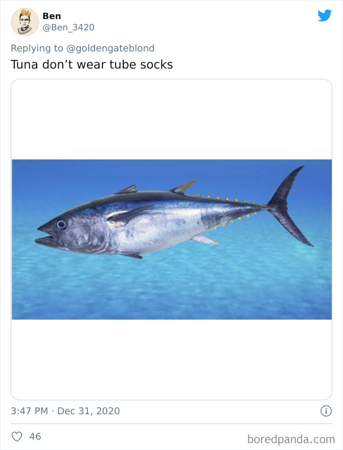 Lions-Dont-Wear-Mask-Politician-David-Kurten