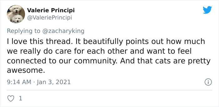 Cat Brings Its Parents A Note From The Neighbors He Visits, They Become Pen Pals With The Cat As Their Postman