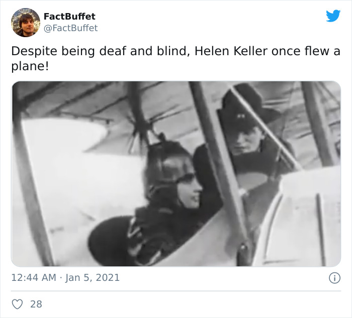 Bored Panda Gave A Huge Boost To My Twitter. That's A Fact.