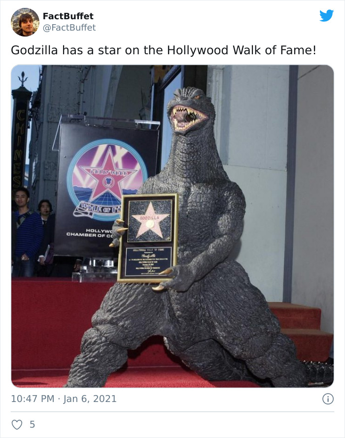 Bored Panda Gave A Huge Boost To My Twitter. That's A Fact.