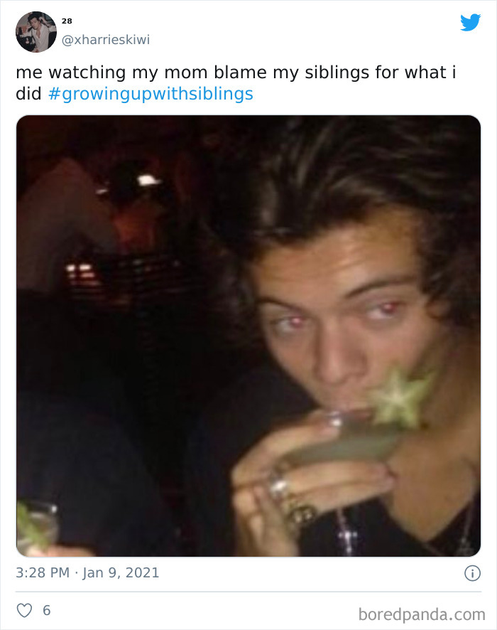 Funny-Siblings-Tweets