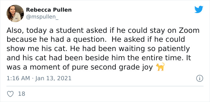 Zoom-Teaching-Students-Questions