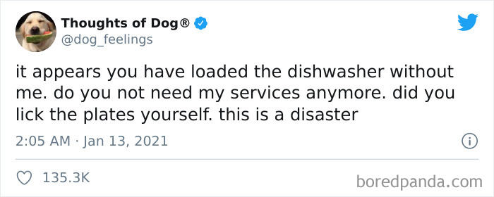 Funny-Tweets-Thoughts-Of-Dog