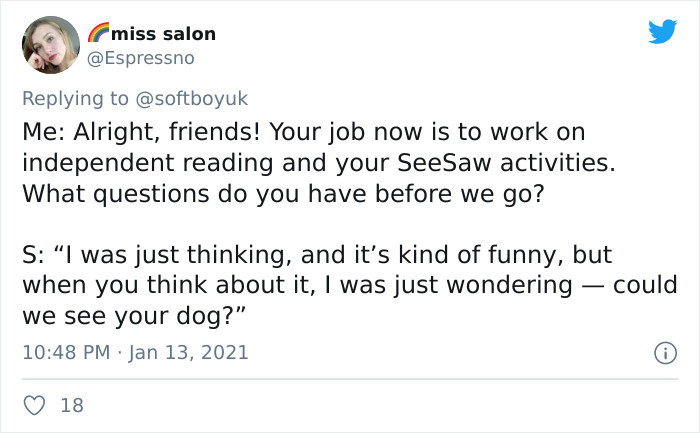 Zoom-Teaching-Students-Questions