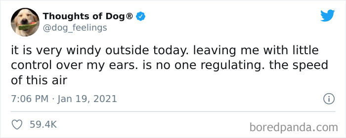 Funny-Tweets-Thoughts-Of-Dog