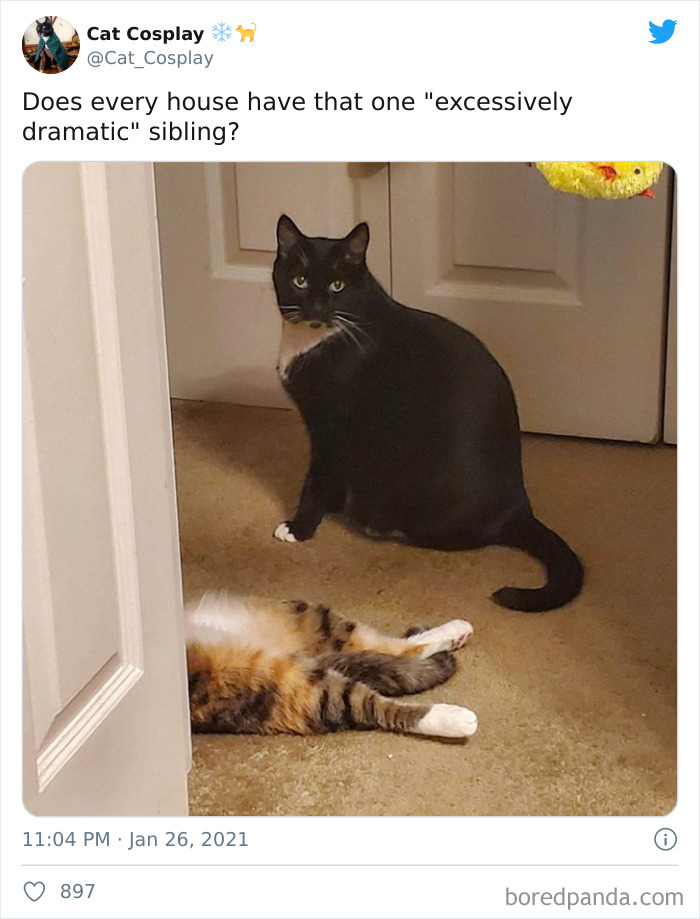 Funny-Siblings-Tweets