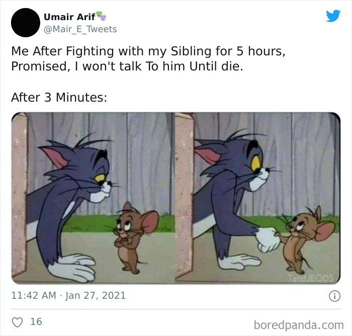 Funny-Siblings-Tweets