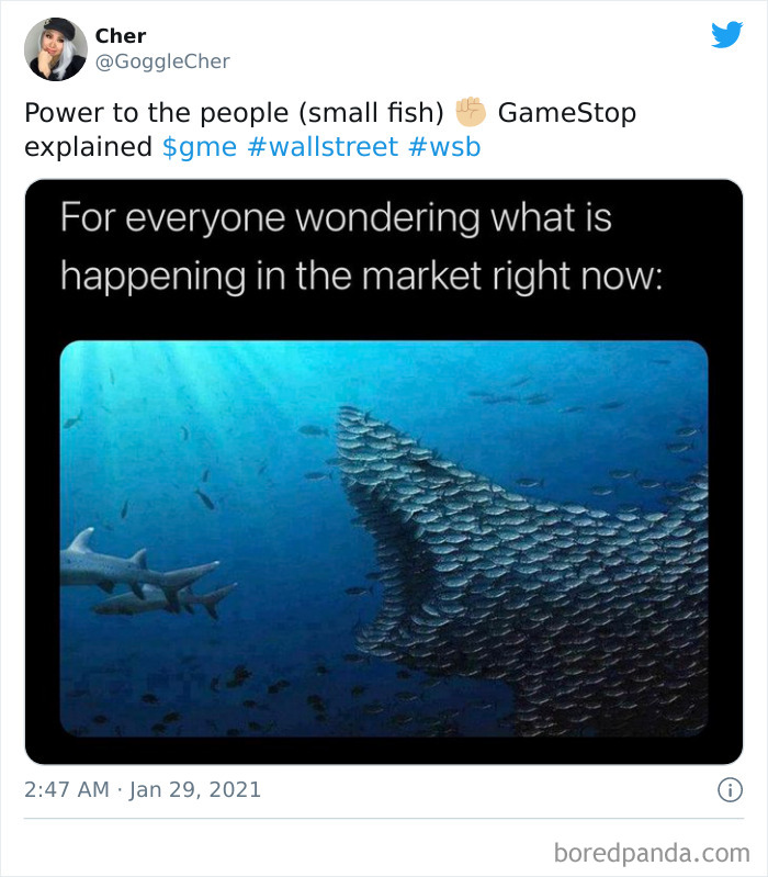 Hedge-Funds-Losing-Billions-Gamestop-Stock-People-Reactions