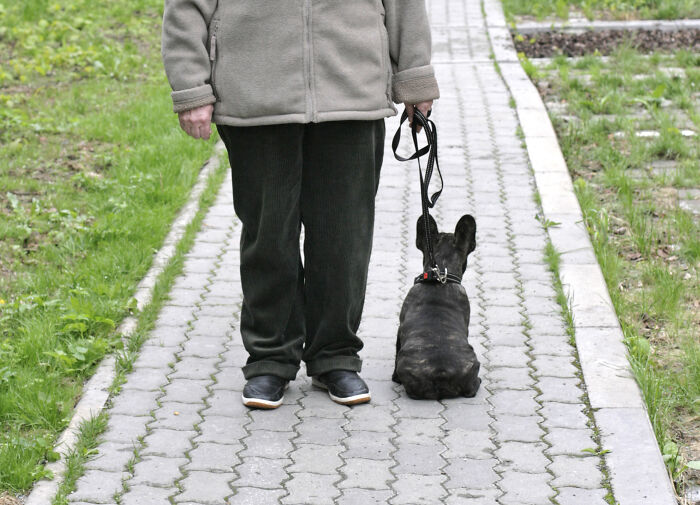 Difficult To Teach That Breed Walking Side By Side