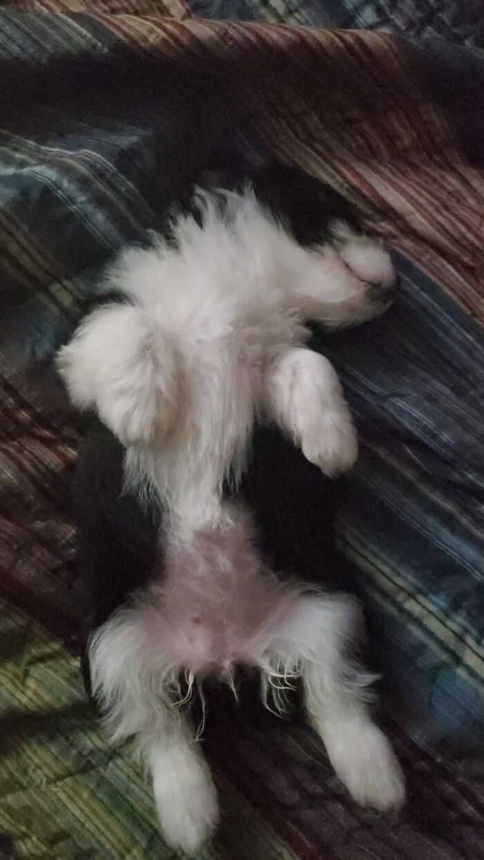 Belly Up