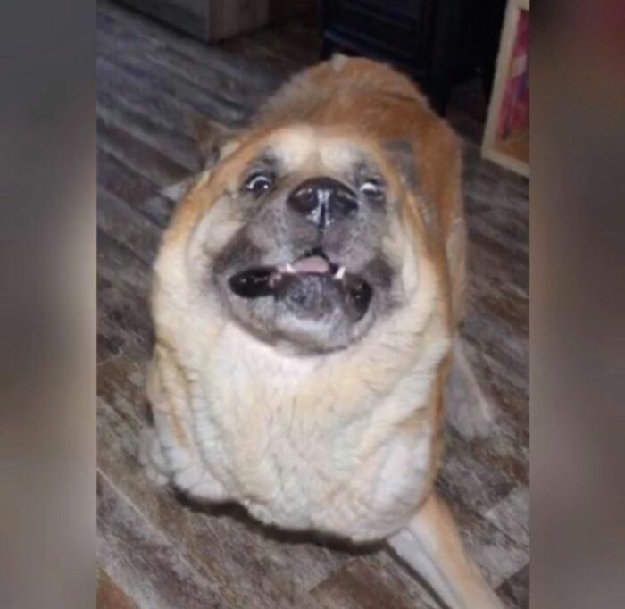 Sudden Movement Invokes Playing