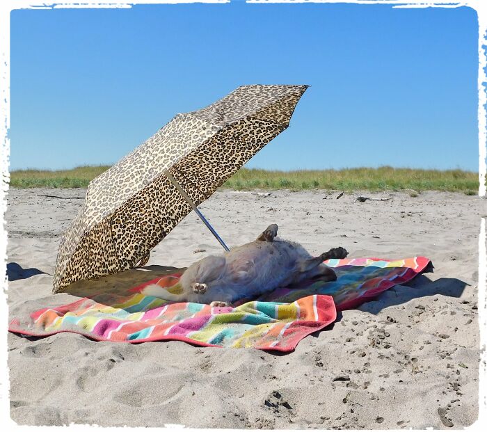 Lounging On The Beach