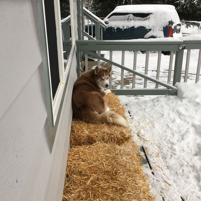 Waiting On Her Friend To Come Outside