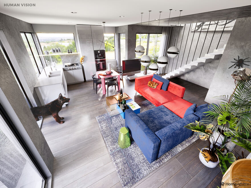 Here's How These 7 Pets See The World Around Them Here's How These 7 Pets See The World Around Them