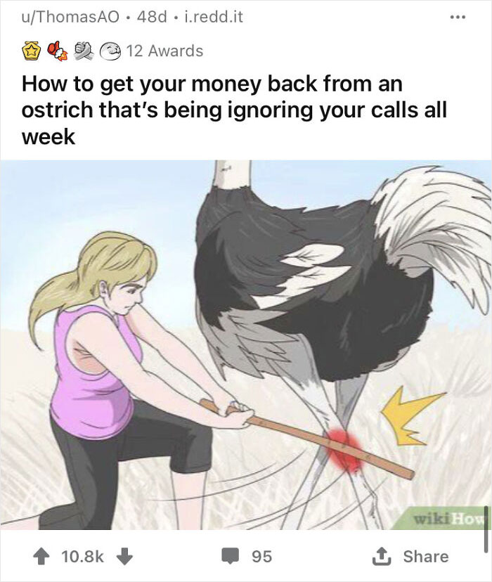 A woman humorously uses a stick on an ostrich, with a caption about reclaiming money, highlighting contextless WikiHow images.