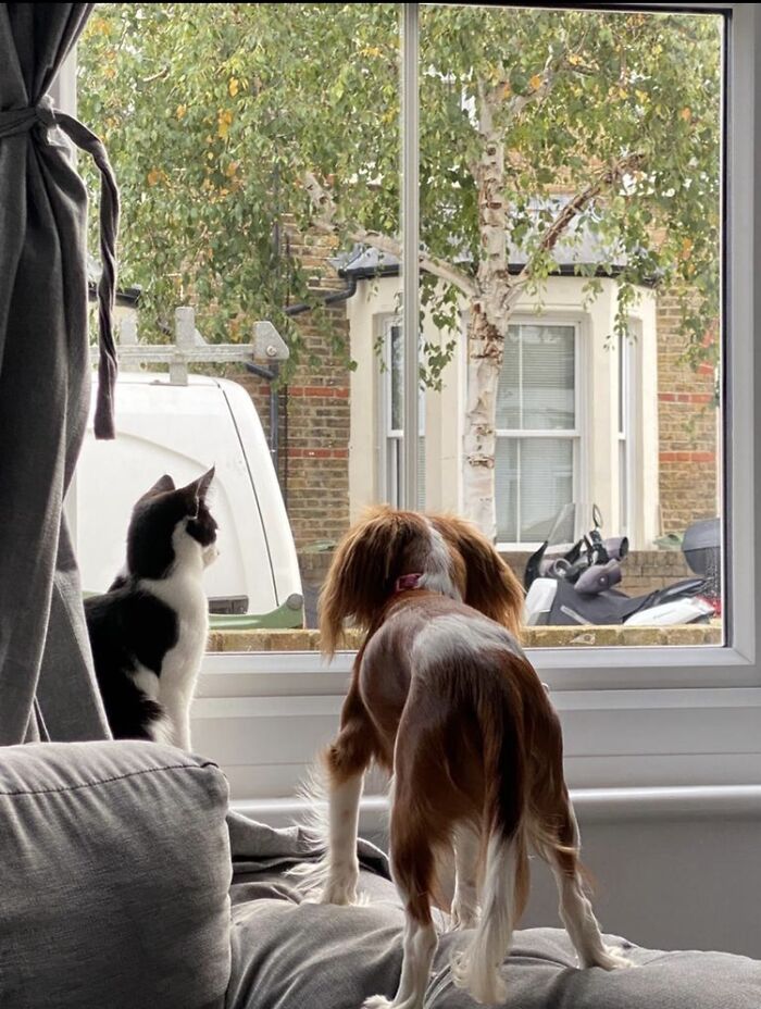 Bonding Time!! # Cute