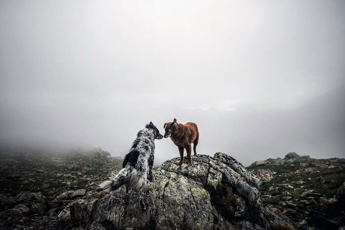 One Way Ticket To Paradise - I Will Take You On A Little Journey