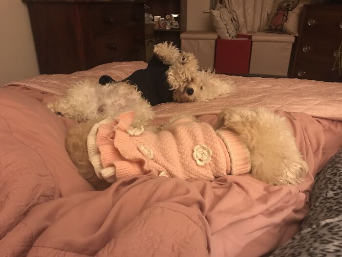 If You Need Them, This Is Where They’ll Be . Cheeky So N So’s !!